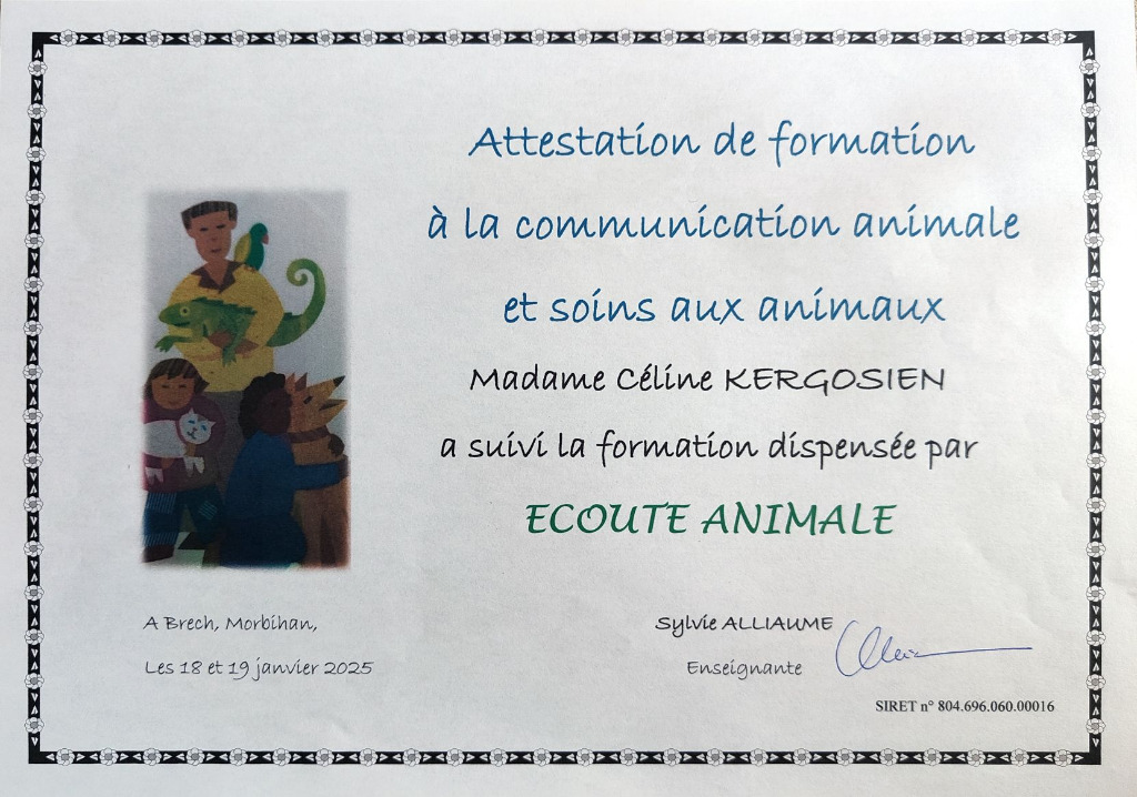 photo activite L’Arche de Gaia