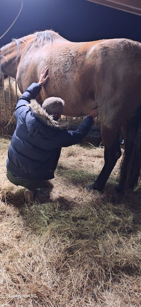 photo seance Walczak Aurelien