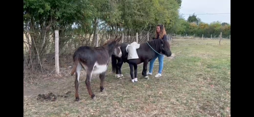 photo seance Estelle Beaumont