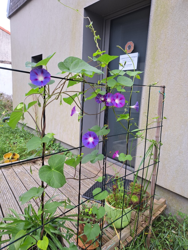 photo cabinet Labreuille Lucie