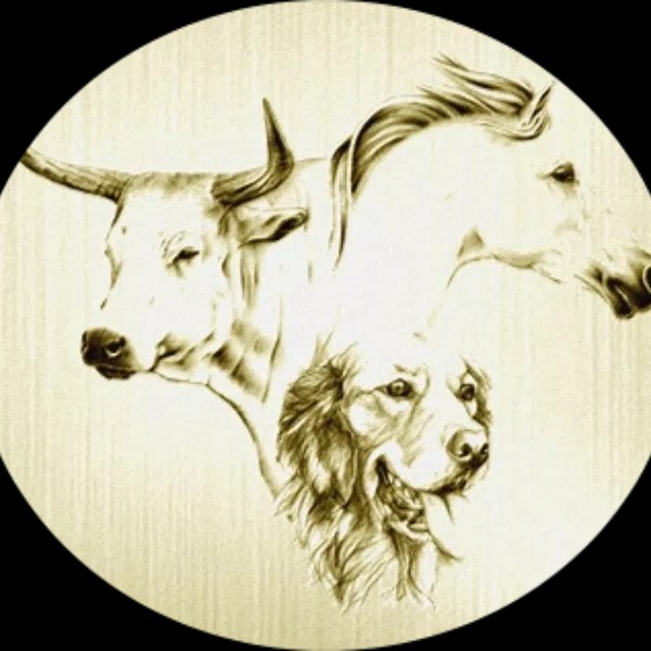 photo cabinet Etiopathe Animalier