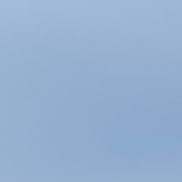 Caroline Schneider Viard