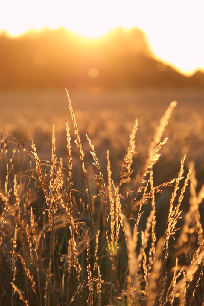 photo activite Zoé, La Voix du Cœur