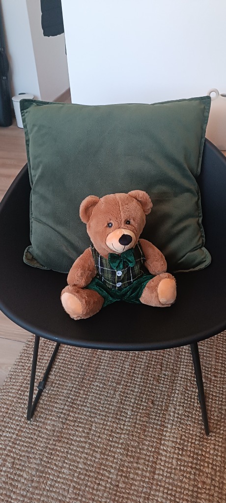 photo seance Guichard Karine