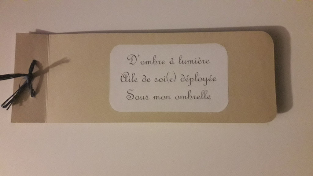 photo activite Cécile DESMOND