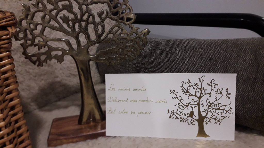 photo cabinet Cécile DESMOND