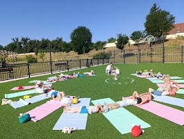 photo activite Rachel Barzic