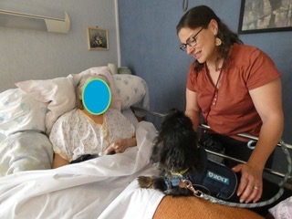 photo activite Nodouzami