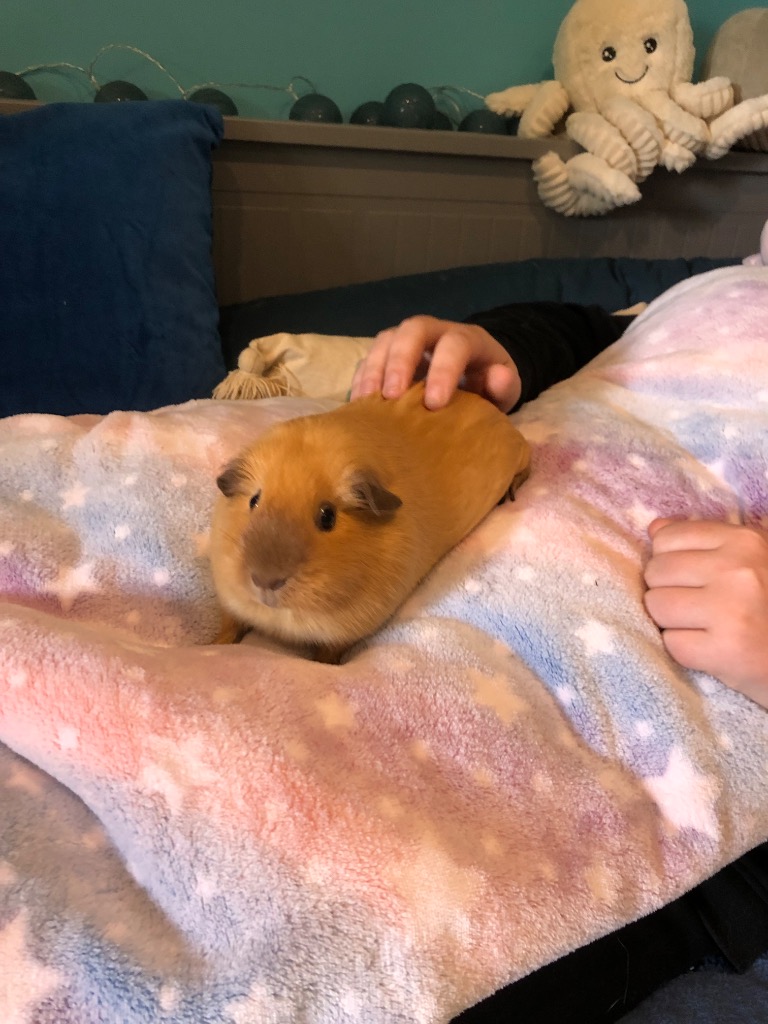 photo seance Nodouzami