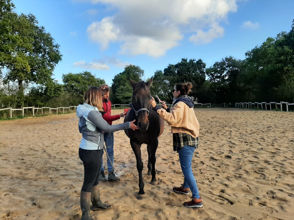 photo seance Bleuenn Berthier 
