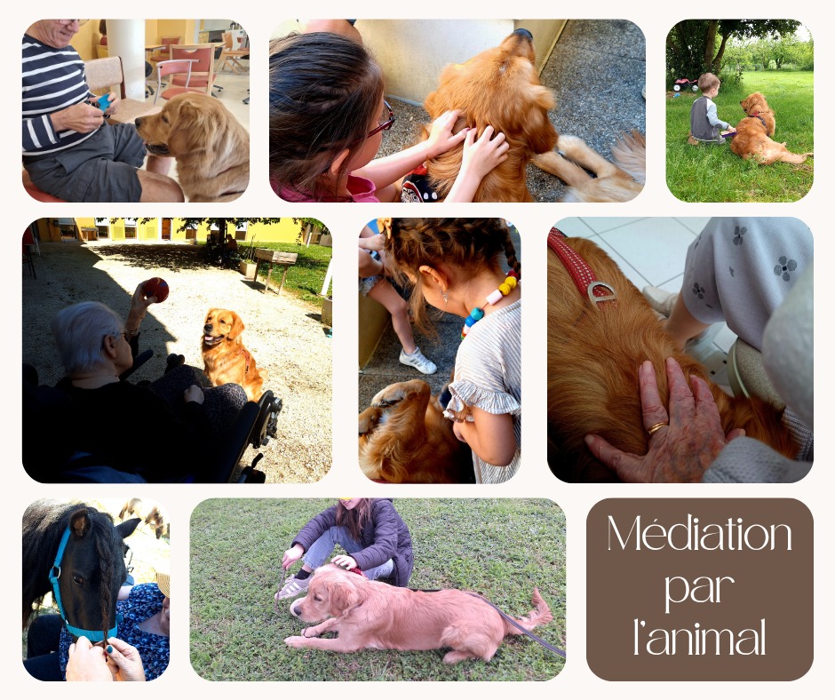 photo seance Lucie Mauger - Psychologue