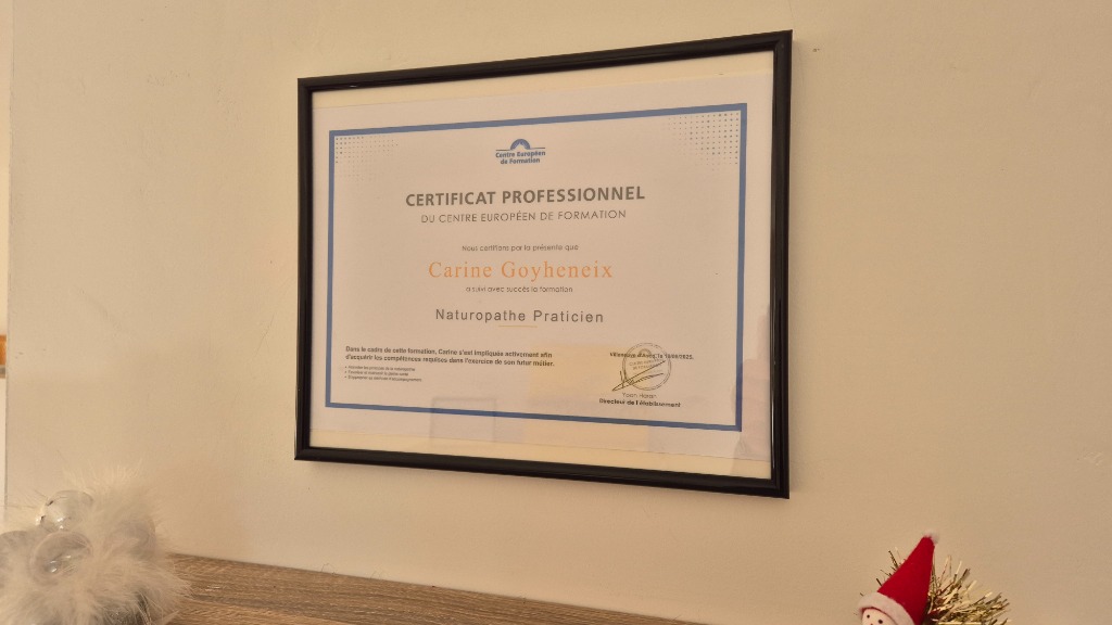 photo diplome Goyheneix