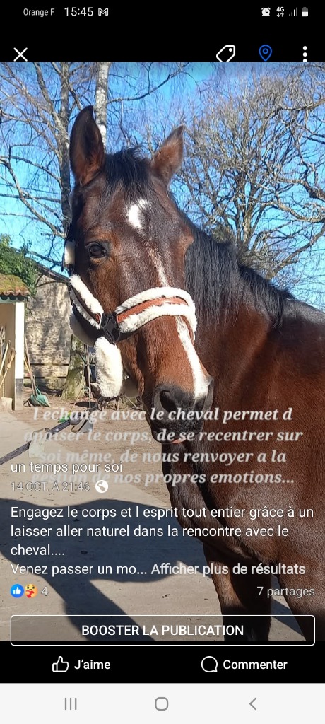 photo seance Un temps pour soi 87