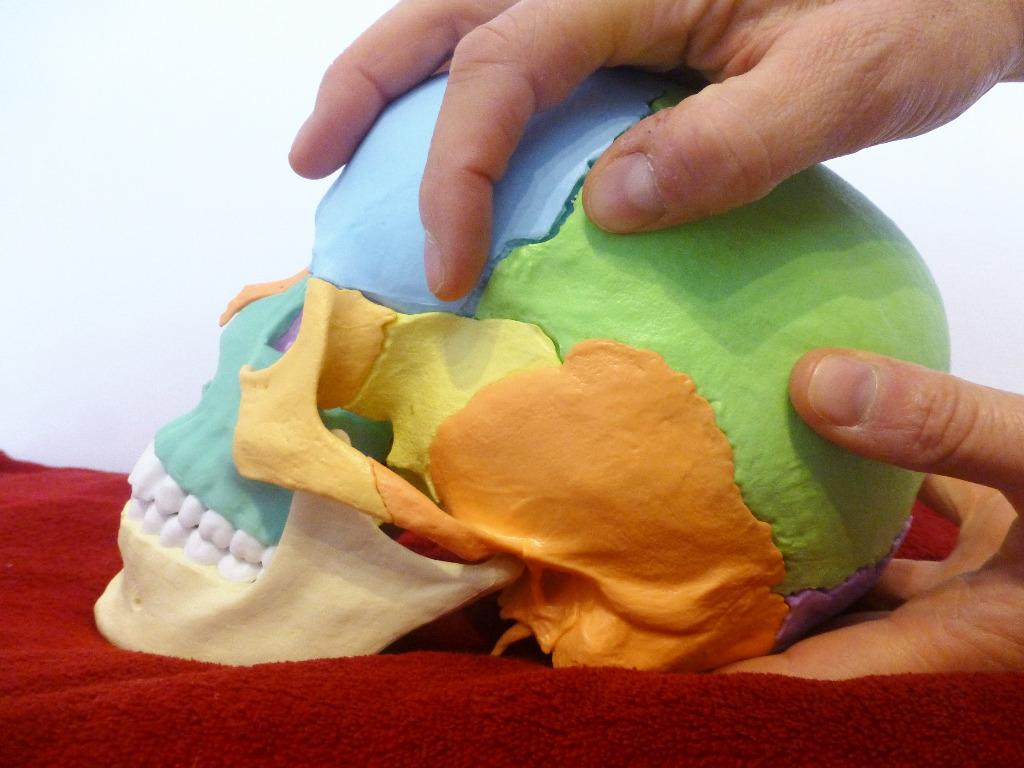 photo seance Cécile ROBERT