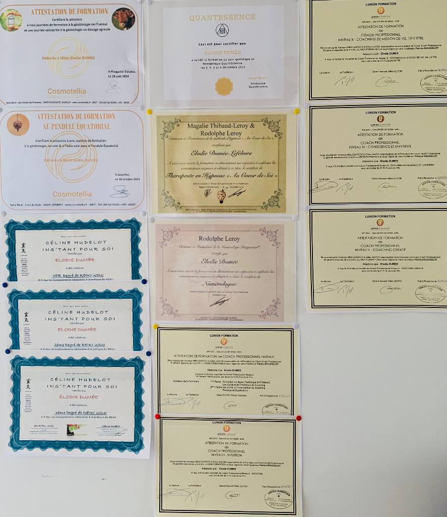 photo diplome Elodie DUMEE l’ECLAIREUSE