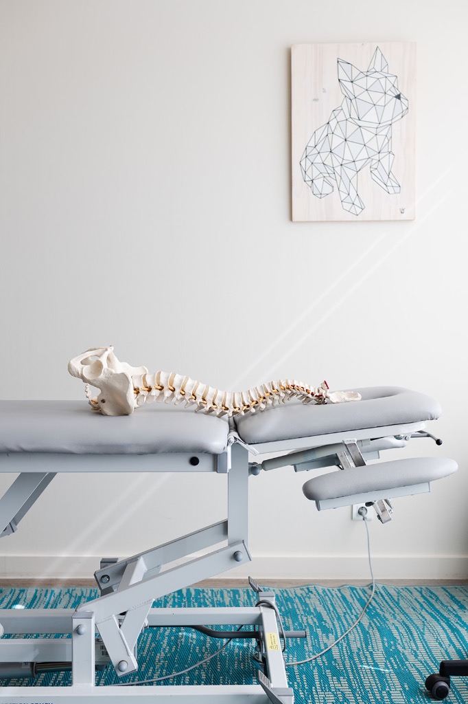 photo cabinet ESTELLE BRAYER