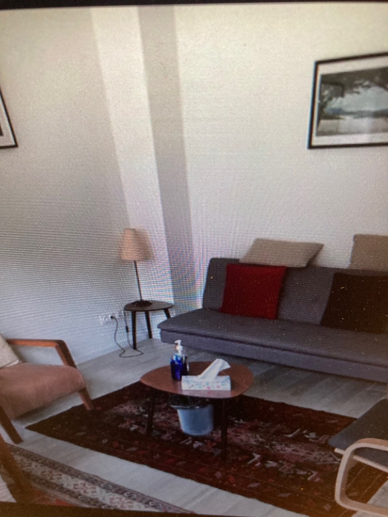 photo cabinet Roselyne Desfossés