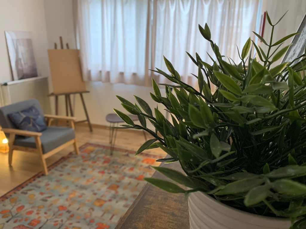 photo cabinet Jean michel Blenet