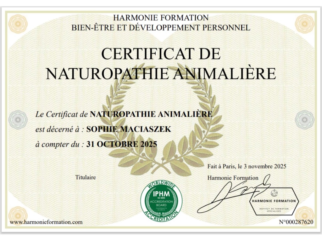 photo diplome Cléoya 