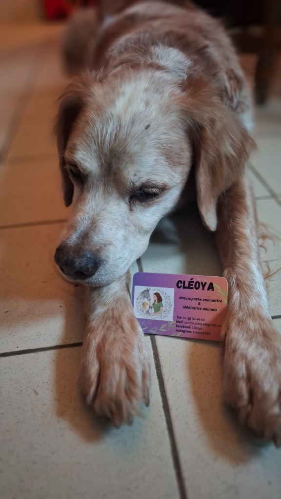 photo seance Cléoya 