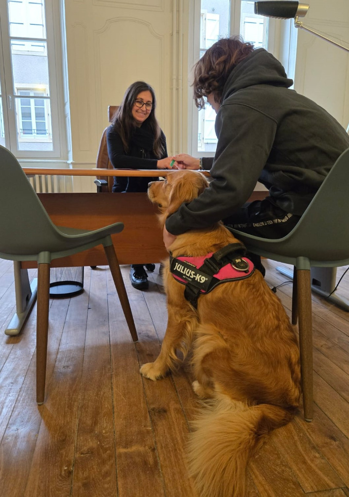 photo activite Réussite Scolaire - BRIEY