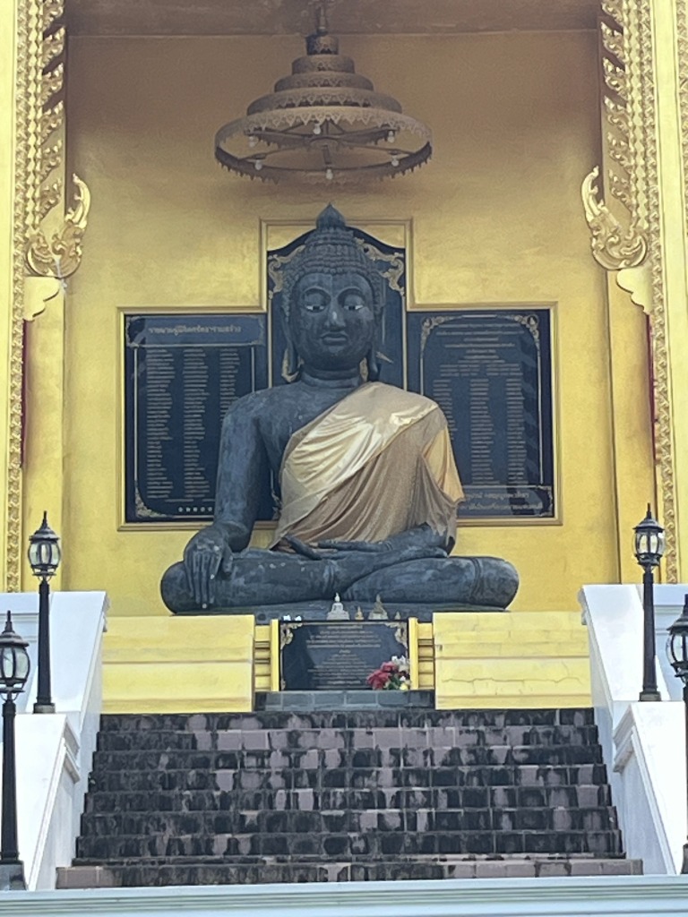 photo cabinet Hélène Dachicourt 