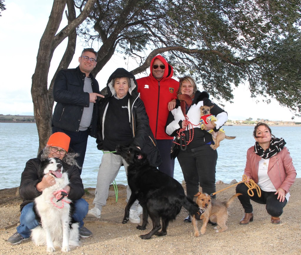 photo activite Cats4life