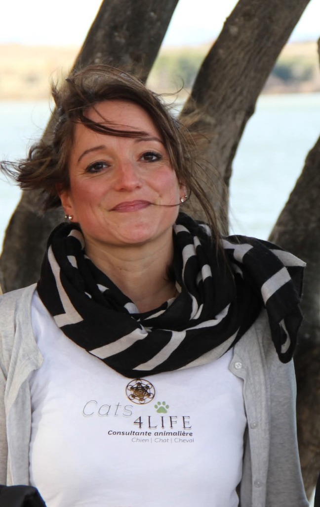 photo portrait Cats4life