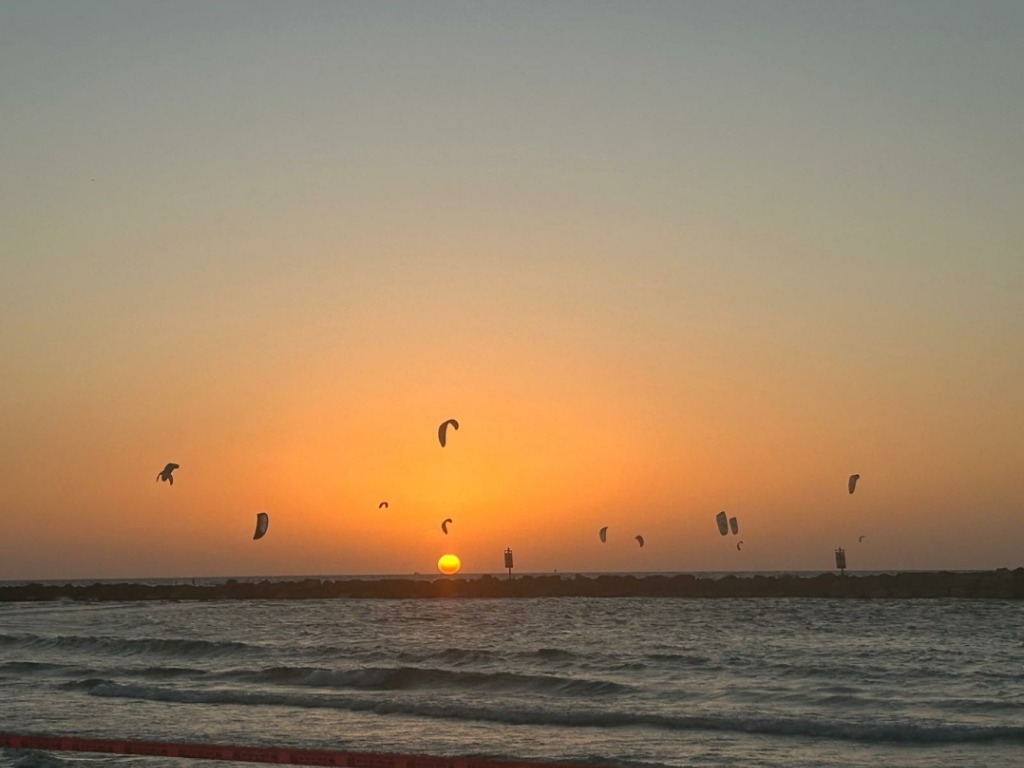 photo diplome Sandy Saadoun 