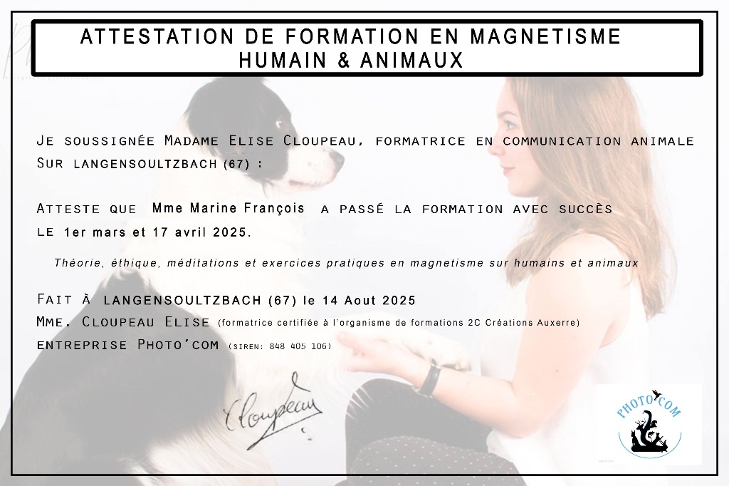 photo diplome Les Sens De Marine 