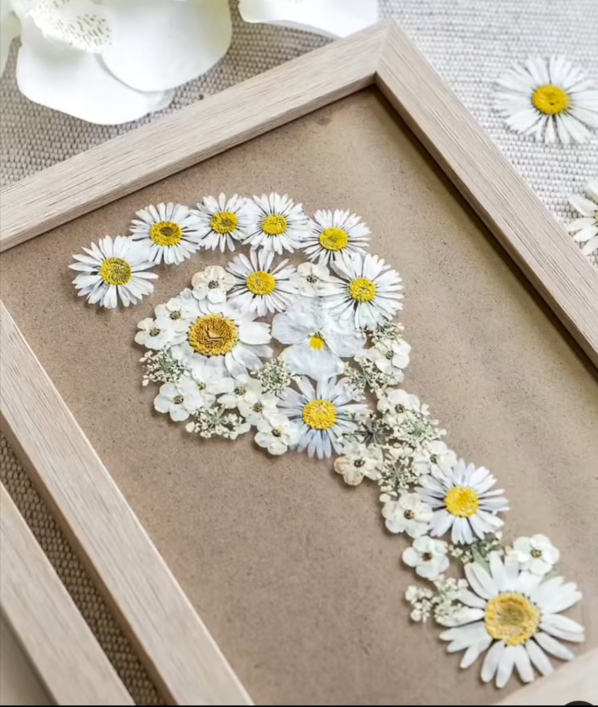 photo activite Sophie Malfuson