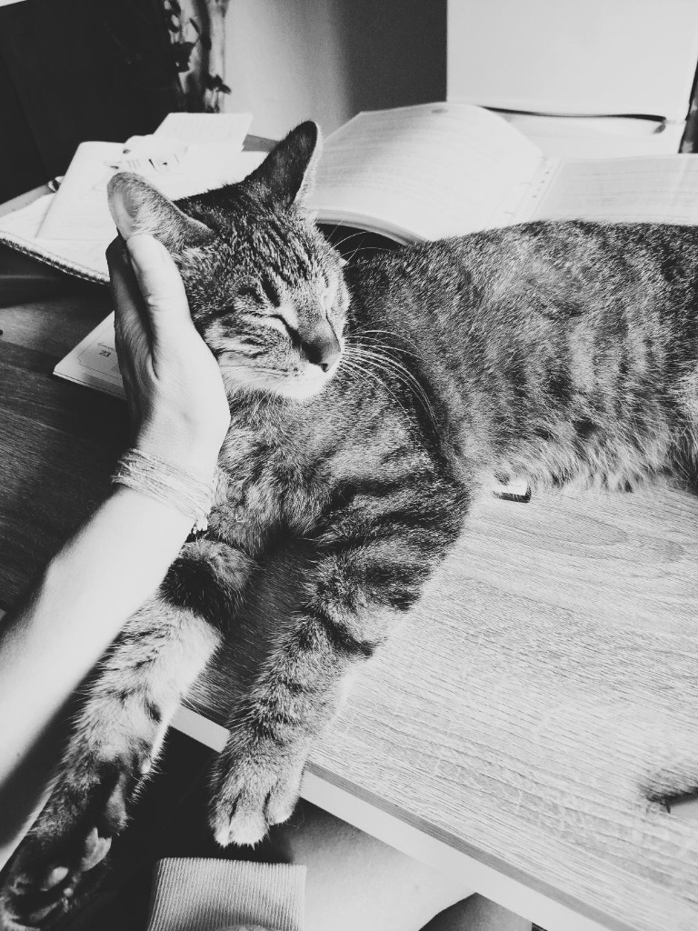 photo seance Luma Animae