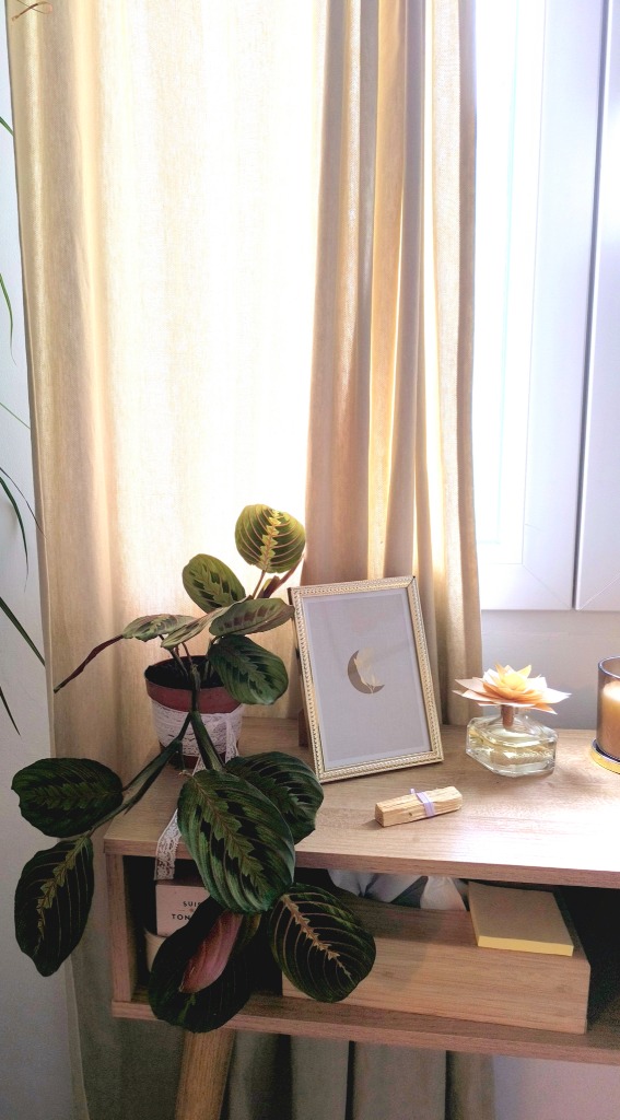 photo activite Stéphanie Dumont Kinésiologie