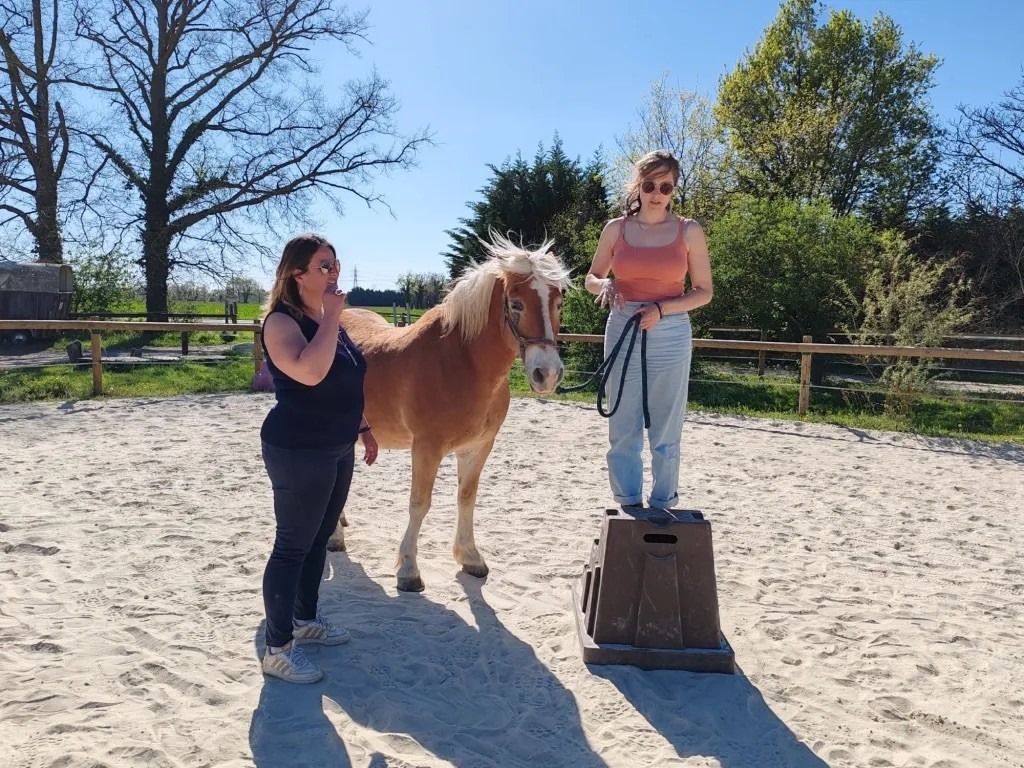 photo activite Equirelia Faustine Malherbe