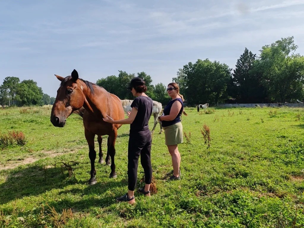 photo seance Equirelia Faustine Malherbe