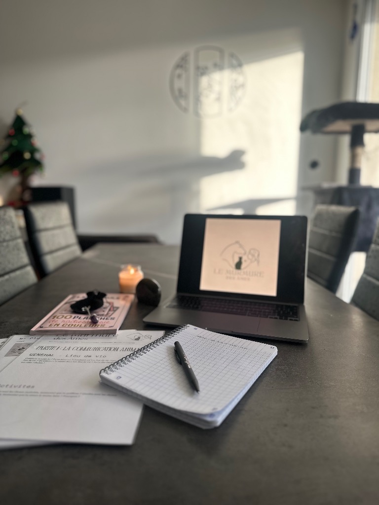 photo activite Le murmure des âmes 