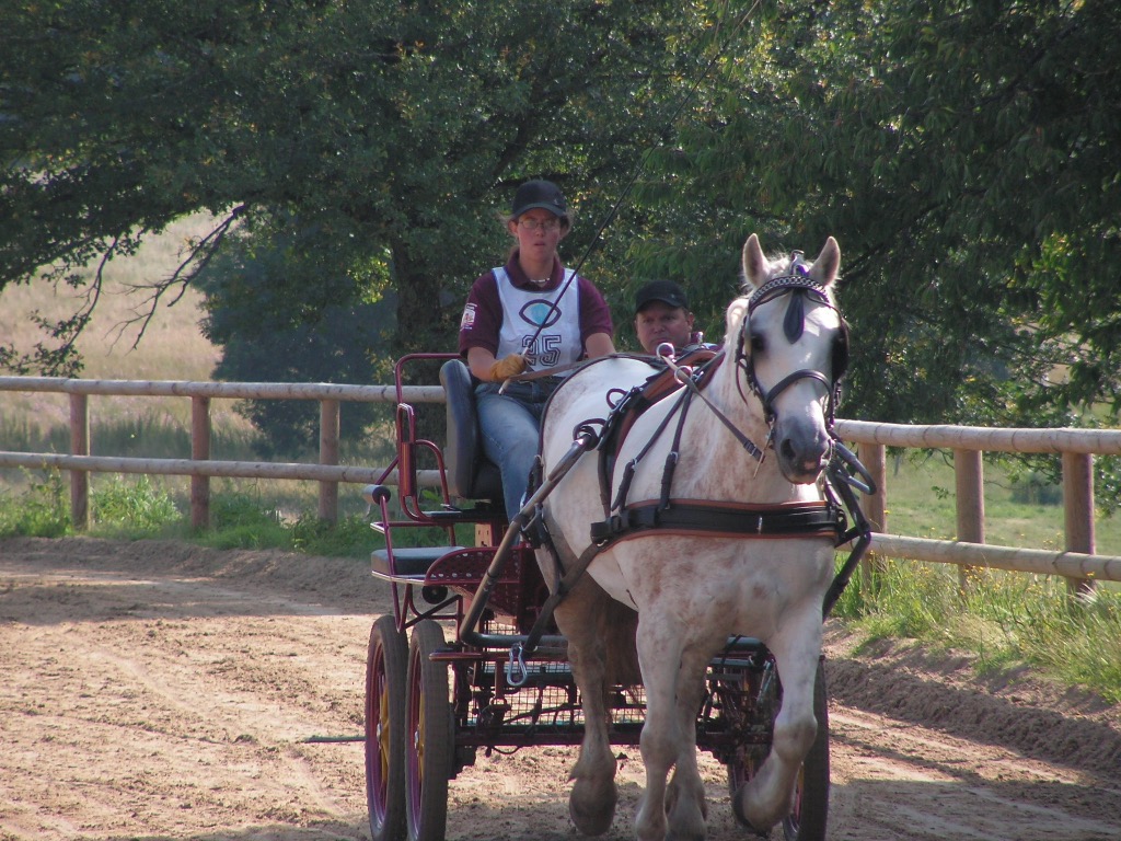 photo activite Lucajoracoach