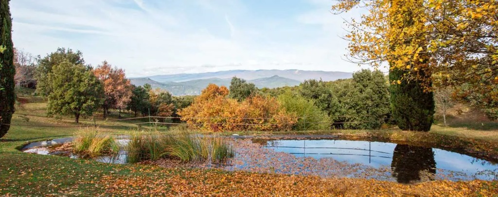 photo cabinet Jérôme Kimmel Equinexion