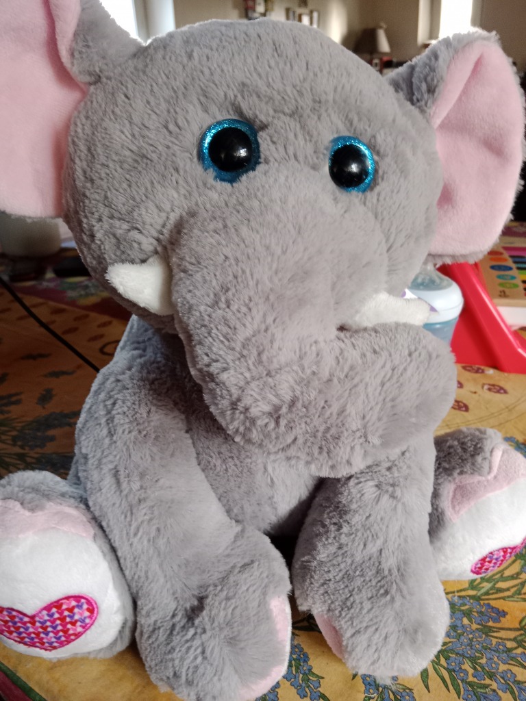 photo seance Stephanie Aymard