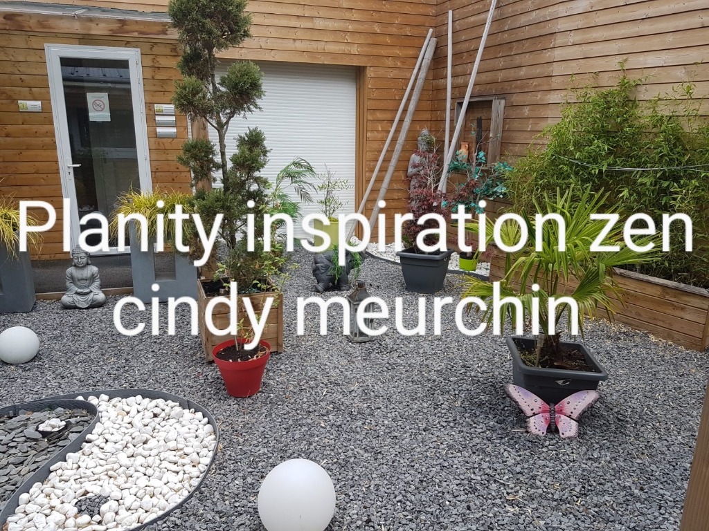 photo activite Inspiration zen Cindy 