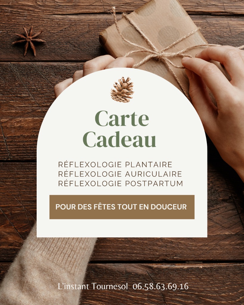 photo activite L’instant Tournesol 