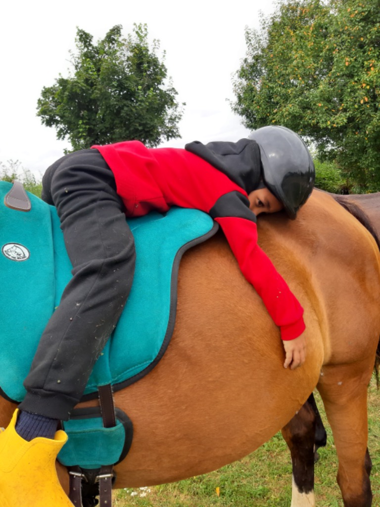 photo activite Cheval faiseur de paix