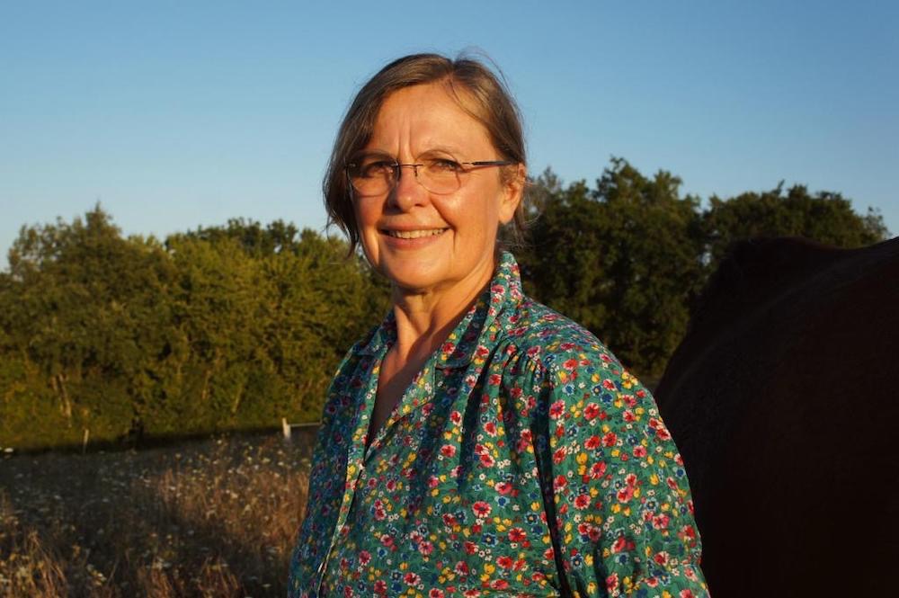 photo portrait Cheval faiseur de paix