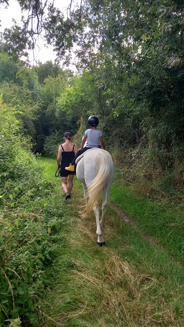 photo seance Cheval faiseur de paix