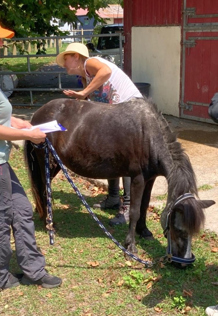 photo activite Céline Arthus