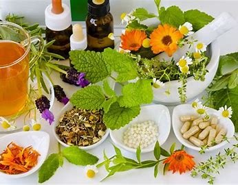 photo seance YASMINE MILOCHE