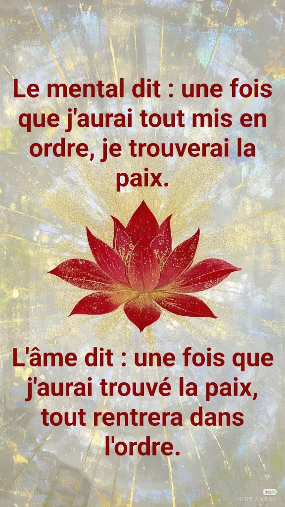 photo diplome Doriane GANCZARCZYK - Praticienne Holistique