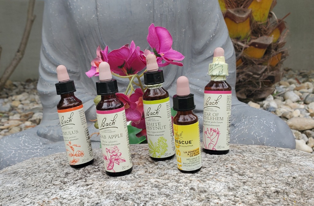 photo activite Naturo-Sérénité