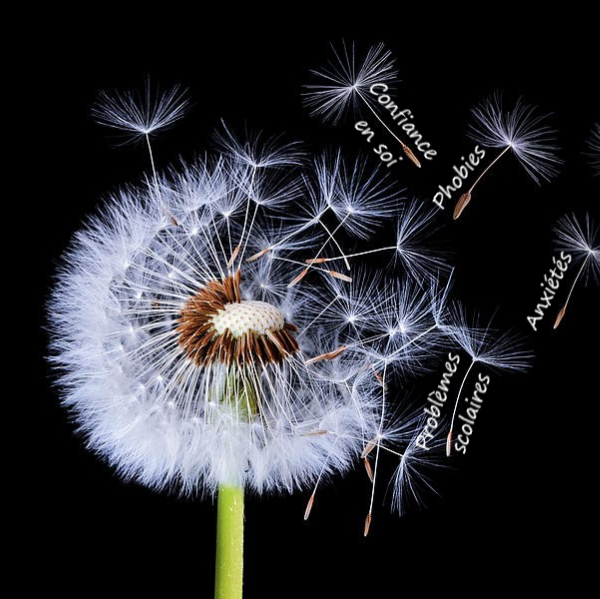 Mylène Kinésiologie