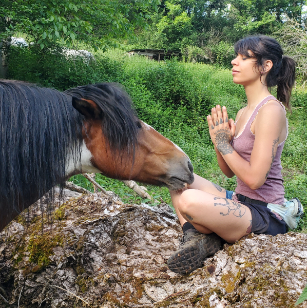 Les Crins Bienveillants 